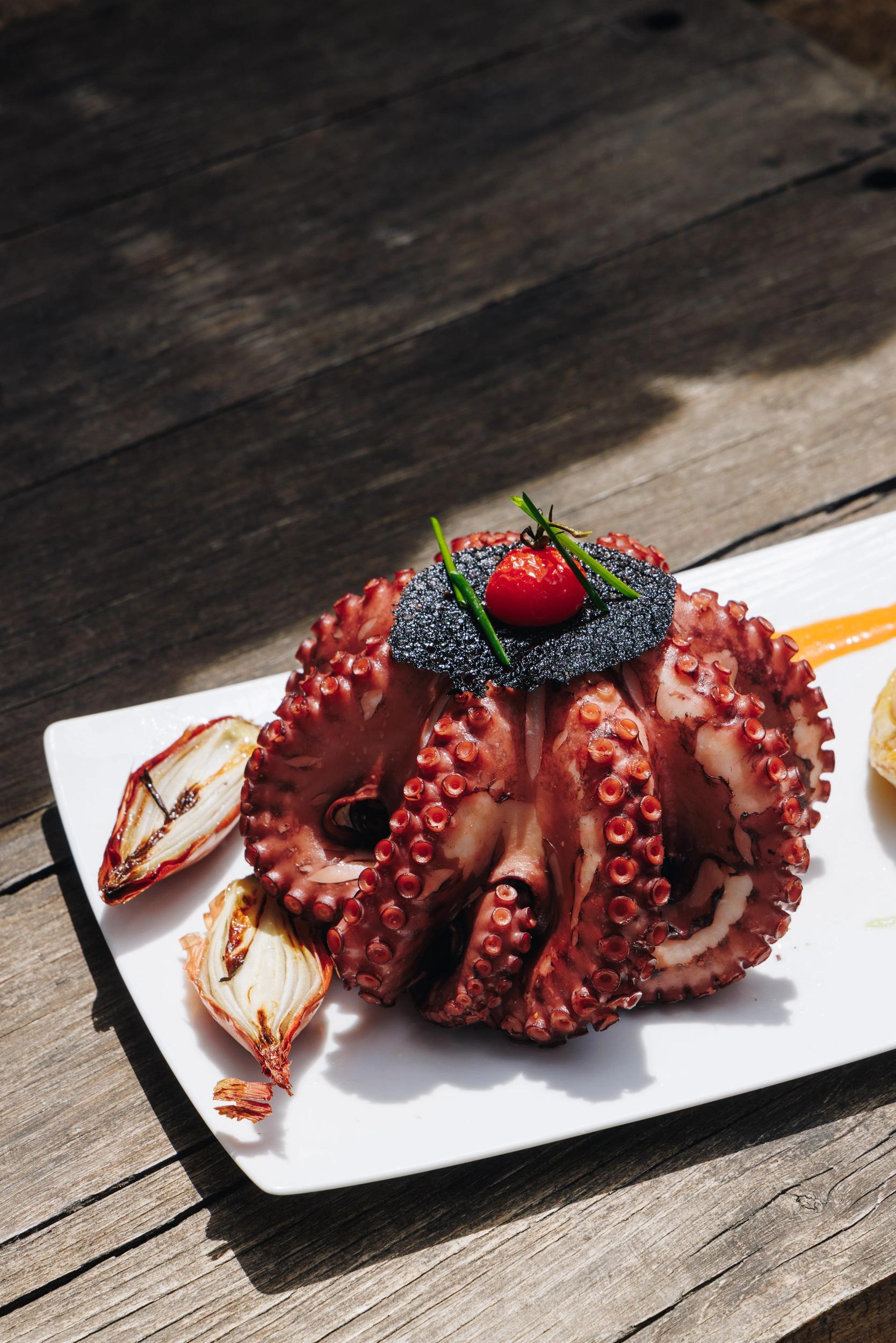 Poulpe grillé présenté à l'assiette, spécialité culinaire corse de restaurant